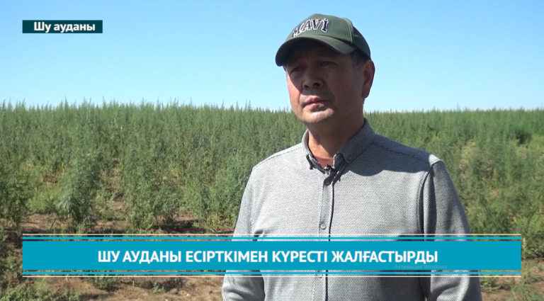 изображение_2024-06-24_130116187