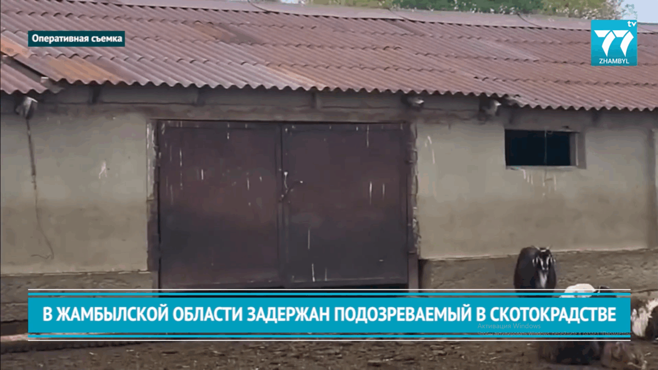 В ЖАМБЫЛСКОЙ ОБЛАСТИ ЗАДЕРЖАН ПОДОЗРЕВАЕМЫЙ В СКОТОКРАДСТВЕ