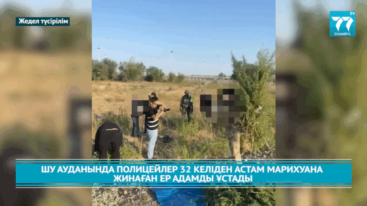 ШУ АУДАНЫНДА ПОЛИЦЕЙЛЕР 32 КЕЛІДЕН АСТАМ МАРИХУАНА ЖИНАҒАН ЕР АДАМДЫ ҰСТАДЫ